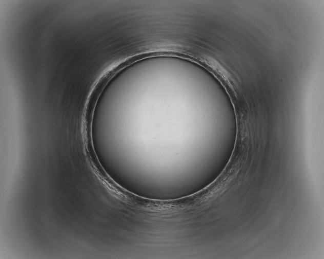 X0000116481072200912161247