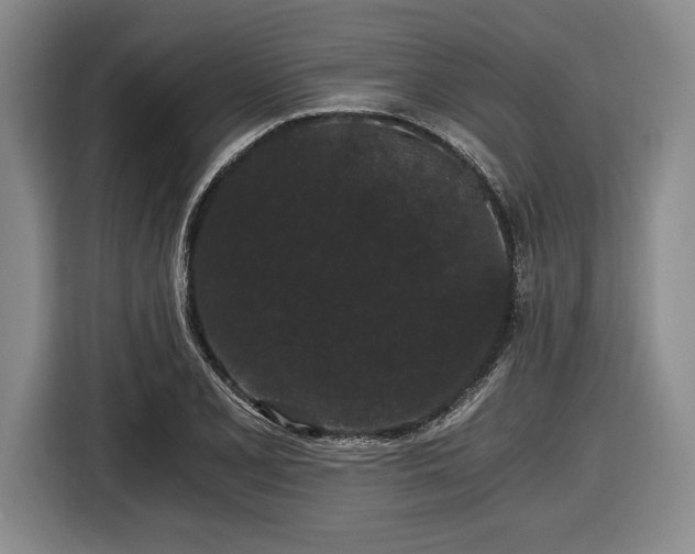 X0000116481077200912161247