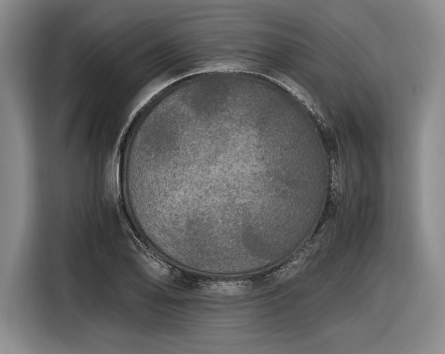 X0000116481078200912161247