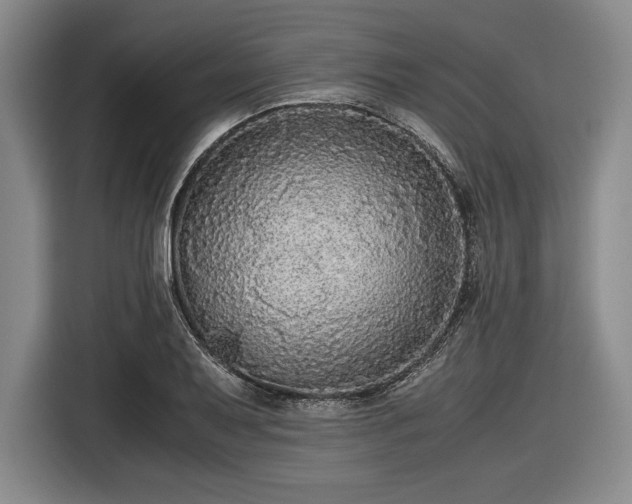 X0000116481079200912161247