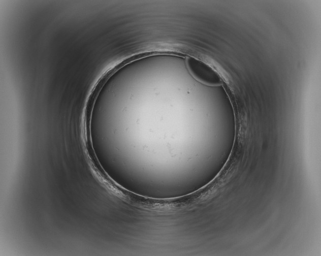 X0000116481080200912161247