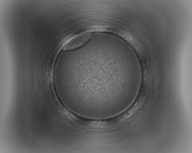 X0000116481081200912161247