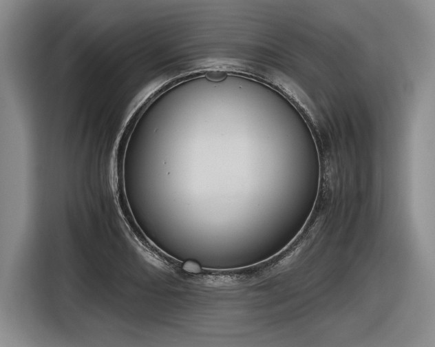 X0000116481082200912161247