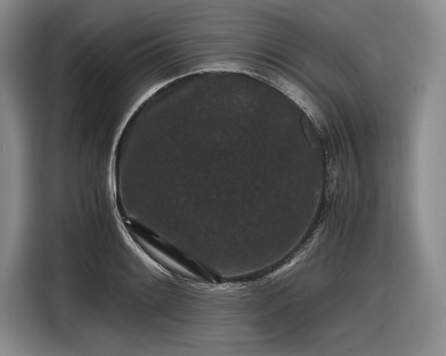 X0000116481084200912161247