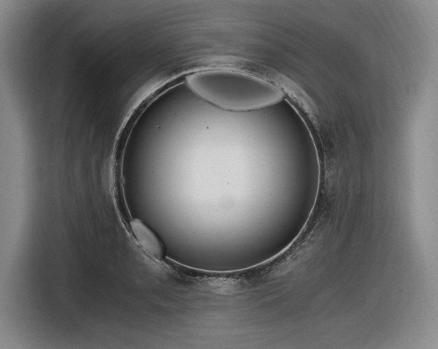 X0000116481085200912161247