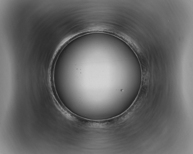 X0000116481086200912161247