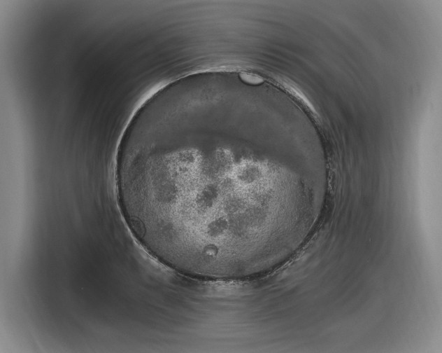 X0000116481087200912161247