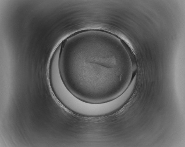 X0000116481088200912161247