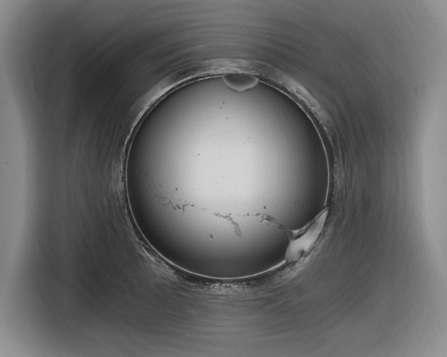 X0000116481089200912161247