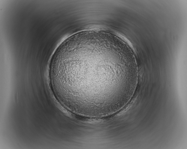 X0000116481091200912161247