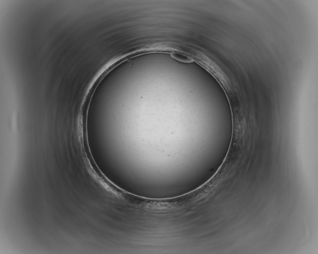 X0000116481092200912161247