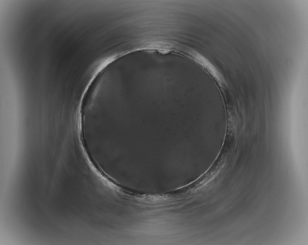 X0000116481095200912161247