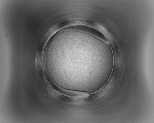 X0000116481097200912161247