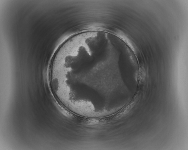 X0000116481098200912161247