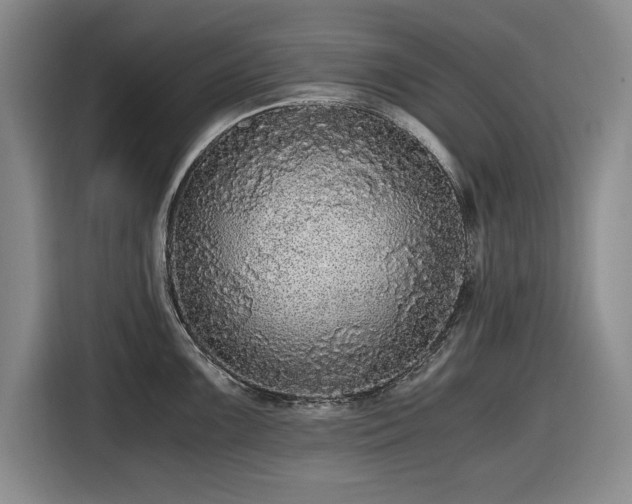 X0000116481099200912161247