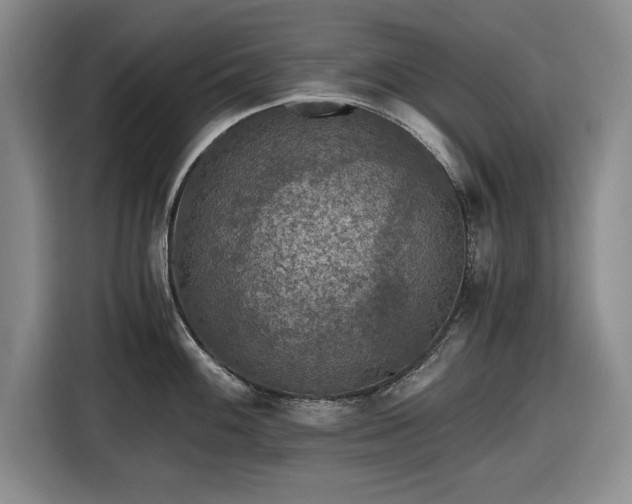 X0000116481100200912161247