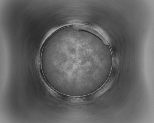 X0000116481101200912161247