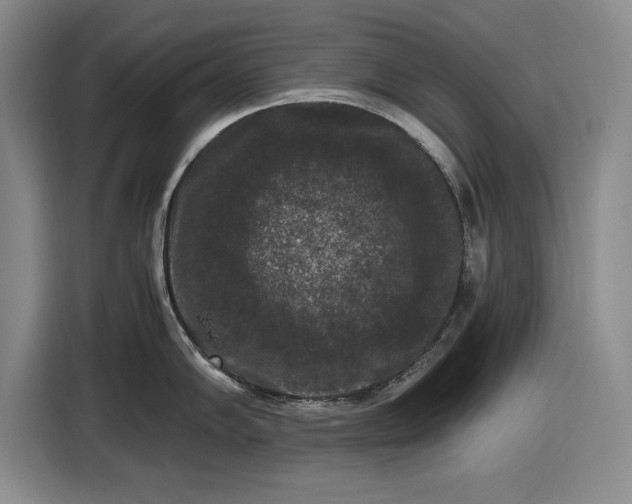 X0000116481102200912161247