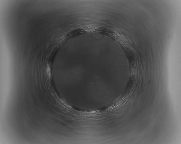 X0000116481106200912161246