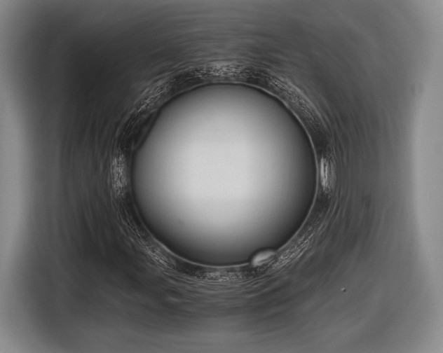 X0000116481107200912161246