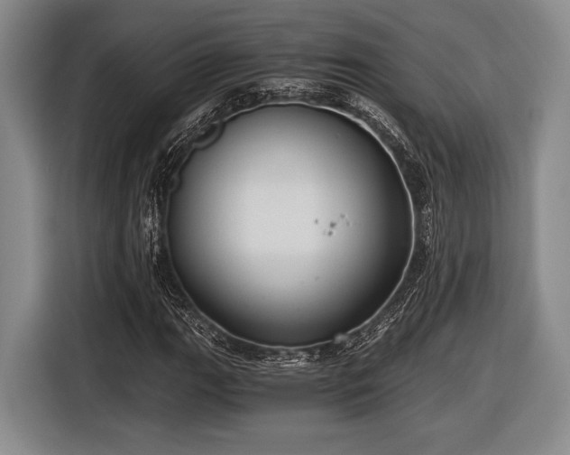 X0000116481111200912161246