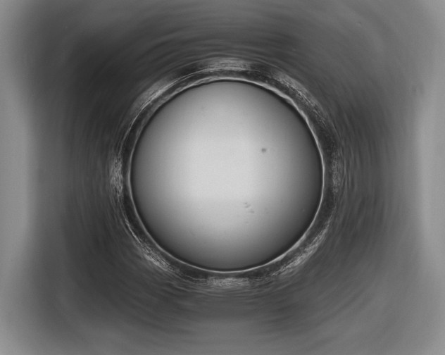 X0000116481113200912161246