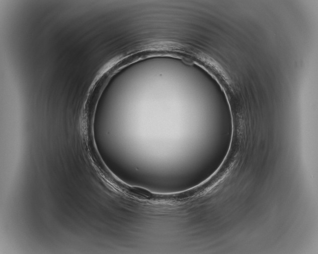 X0000116481114200912161246