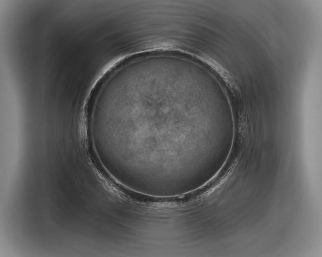 X0000116481118200912161247