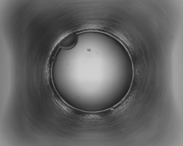 X0000116481119200912161247