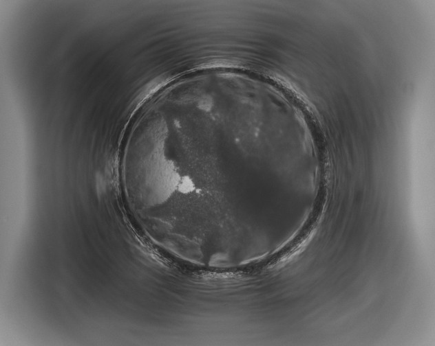 X0000116481121200912161247