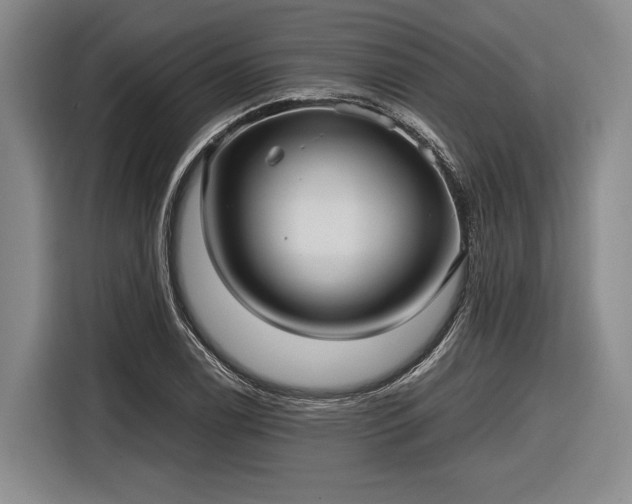 X0000116481122200912161247