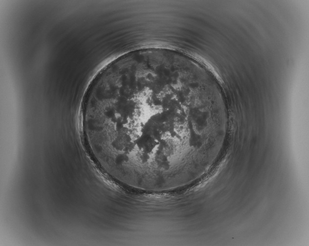 X0000116481125200912161247