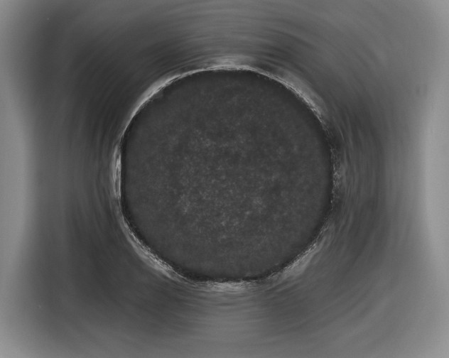 X0000116481126200912161247