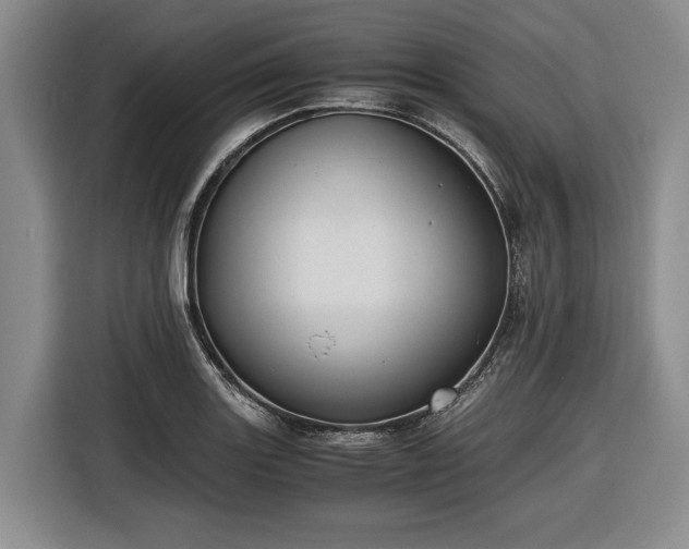 X0000116481131200912161247