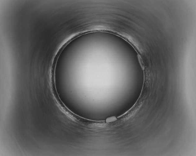 X0000116481134200912161247