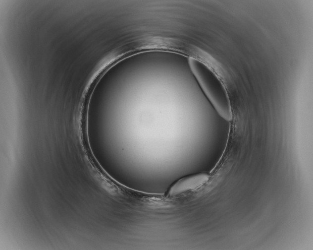 X0000116481138200912161247