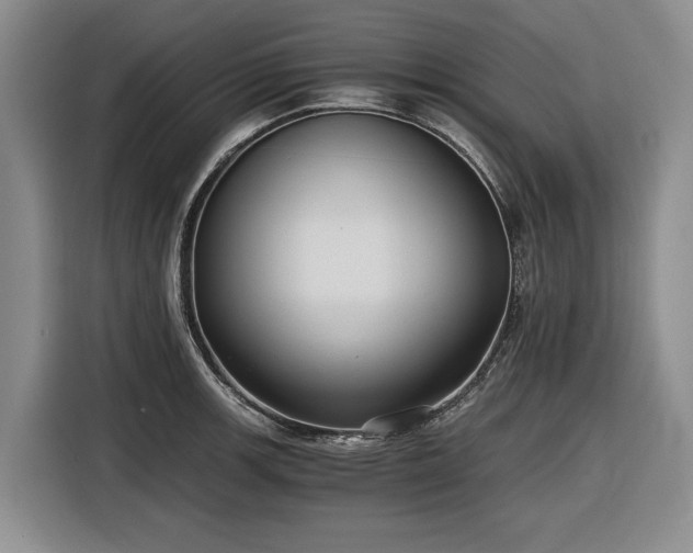 X0000116481139200912161247