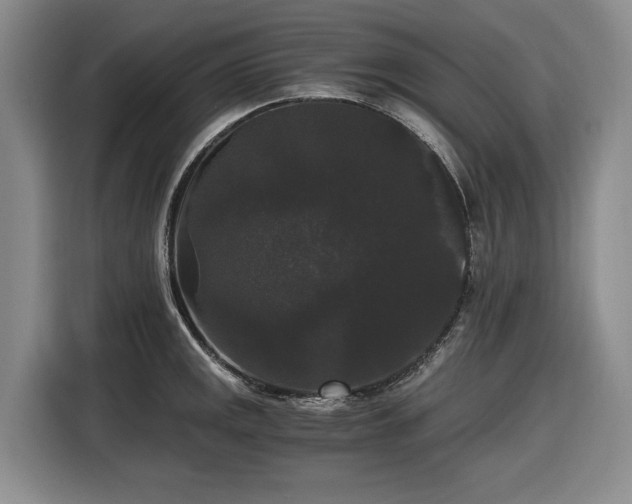 X0000116481141200912161247