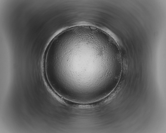 X0000116481142200912161247