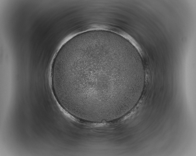 X0000116481143200912161247