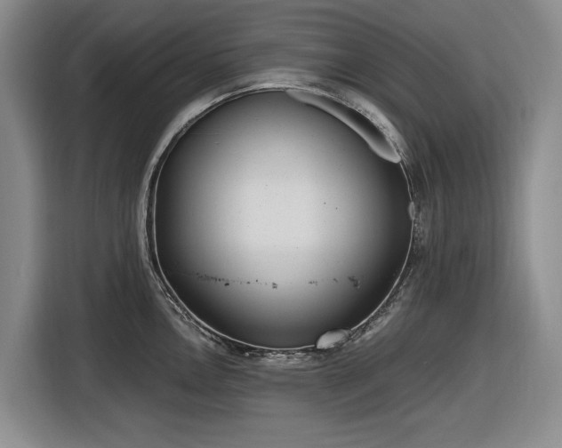 X0000116481146200912161247