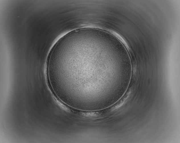 X0000116481149200912161247