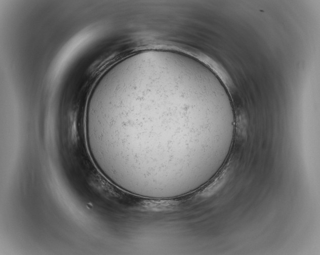 X0000116481150200912161247