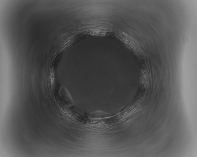 X0000116481154200912161246