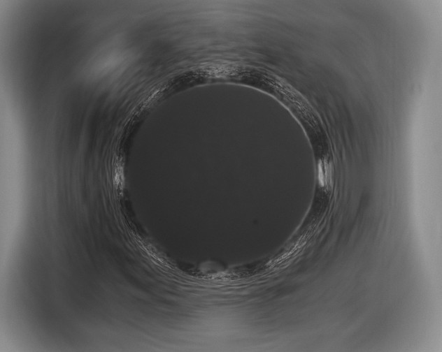 X0000116481155200912161246