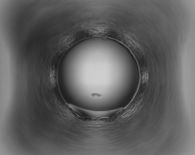 X0000116481156200912161246