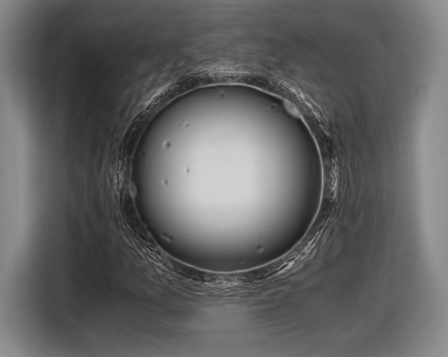 X0000116481157200912161246