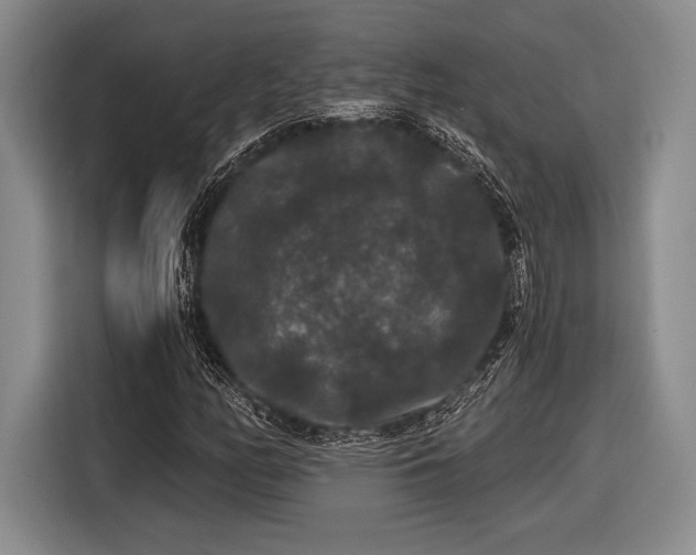 X0000116481158200912161246