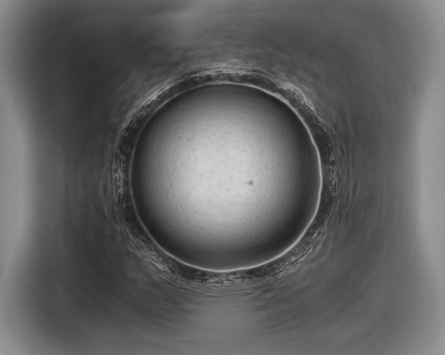 X0000116481159200912161246