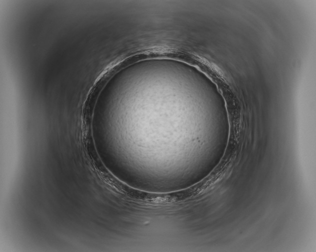 X0000116481160200912161246